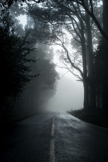 Writing Horror Course,  a five week course with Megan Taylor